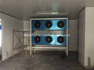 Medium Size Cold Room for Chiller/Refrigerator/Freezer