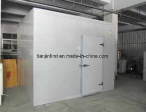 Cold Storage/Cold Room for Vegetable Fruit Dumplings