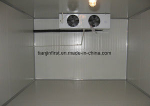 Cold Storage Refrigeration Unit for Fruit and Vegetable