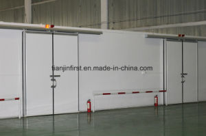 Cold Storage for Meat Fruit/Vegetable/Flower