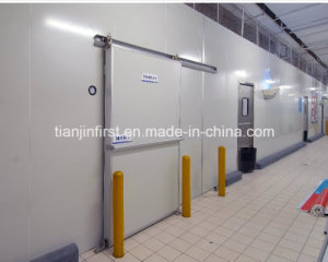 Deep Frozen Cold Room for Fish and Chicken