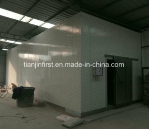 Brand Compressor Unit and PU Sandwich Panel Cold Room for Food