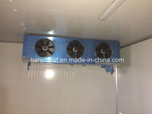 Vegetables Storage Seafood Cold Room