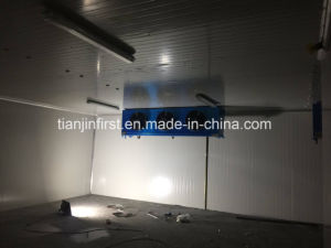 Low Temperature Ice Cream Prefabricated Storage Modular Cold Room