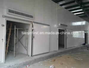 Modular Cold Room for Meat, Fish, Vegetable, Fruit
