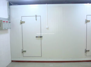 Cold Room for Cold Storage Ice Cream
