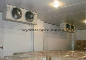 Cold Room Cold Storage Refrigerator Freezer/Meat Fruit Cold Room