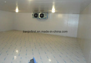 Shrimp/Beaf/Chicken Fruits and Vegetables Cold Room