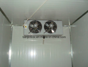 Good Quality Blast Freezer/Cold Storage/Cold Room for Sale Price