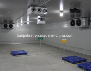 2017 New Product and Best Price Freezer Cold Room Used