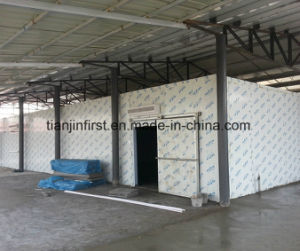 Cold Room for Vegetable / Ice / Fish / Meat Cold Storage