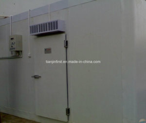 Hot Selling Cold Room / Cold Storage / Cold Store