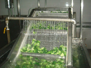 Fruit Vegetable Eddy Current Cleaning Machine
