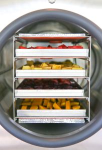 High Efficiency Food Freeze Dryer Price/Fruit Drying Machine
