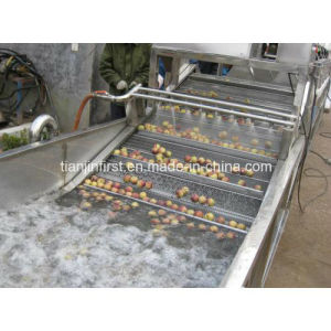 Eddy Type Vegetable Washing Machine/Cleaning Machine