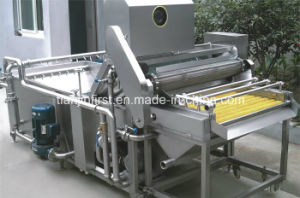 High Efficiency Air Bubble Type Fruit and Vegetable Cleaning Machine