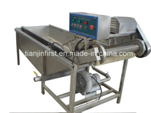 Industrial Bubble Fruit and Vegetable Cleaning Machine