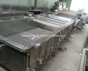 Stainless Steel Air Bubble Vegetable Washing Machine