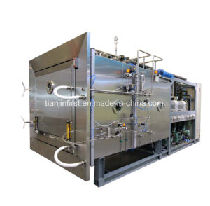 Fruit and Vegetable Vacuum Freeze Dryer/Drying Machine for Fruit