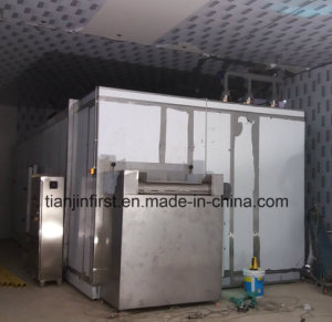 Fluidized Freezer for Fruit and Vegetable