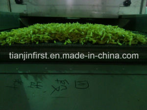 Fluidized Freezing for Fruit and Vegetable IQF Freezer