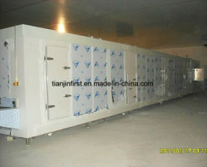 Hot Selling Tunnel Quick-Freezing Machine