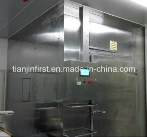 Quick Freezer Blast Freezer for Food Industry