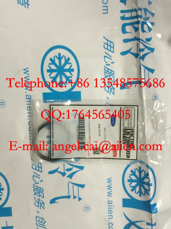 KK71EW165 oil pump motor O ring