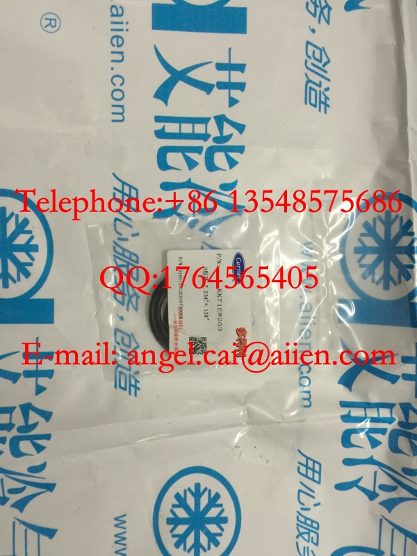 KK71EW263 (2)