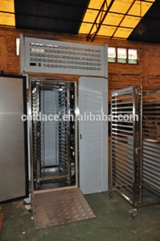 SS 304 100kg Capacity walk in blast freezer with single trolley