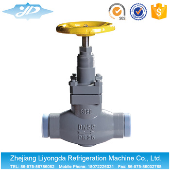 Check ammonia valve for cold storage pipe