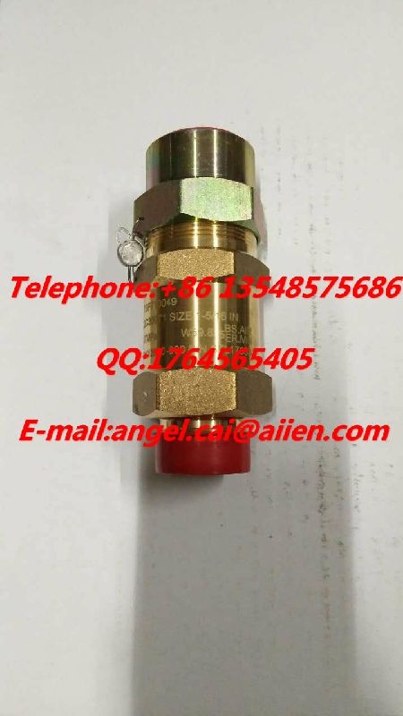 022W12520-000-1Safety valve