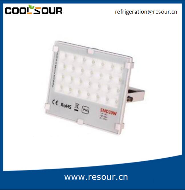 COOLSOUR Walk-in Freezer Cold Room Lights RSD-50W