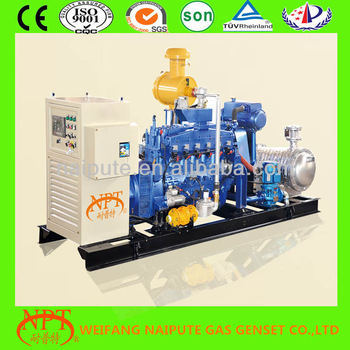 World global warranty standby biogas generator with CE certificate