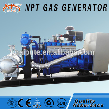 Top brand 80kva biogas generator for sale