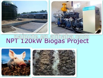 10 500kw biogas cogenerato gasifier