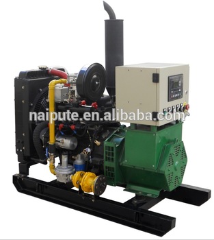 10kW biogas home generator