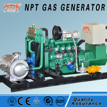 20kW CHP Biogas Generator for Biogas power plant