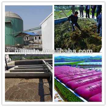 biogas cng generator