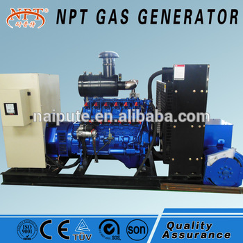 AC Three Phase Output Type CHP biogas generator