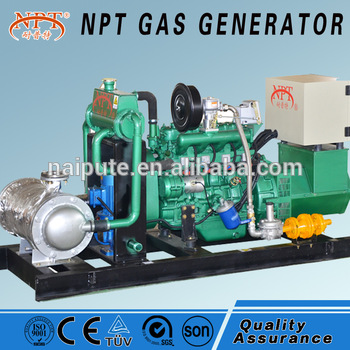 CHP biogas generator20kW