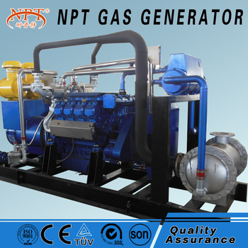 Cattle manure pig and cow manure biogas generator