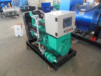 Customized CE approved 10kW biogas generator for sale