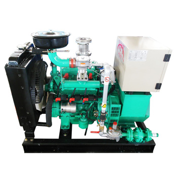 10kW biogas generator set