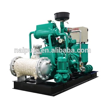 biogas generator 30kW