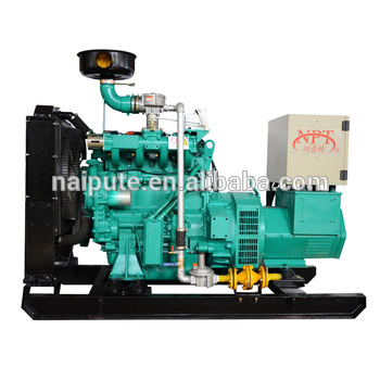 CHP biogas power generator with soundproof canopy 20kW