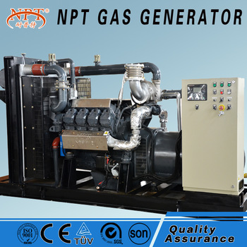 Customized 300 kw biomass power projects with generator