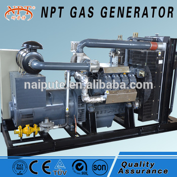 high performance 240kw gas generator with explosion proof equipment