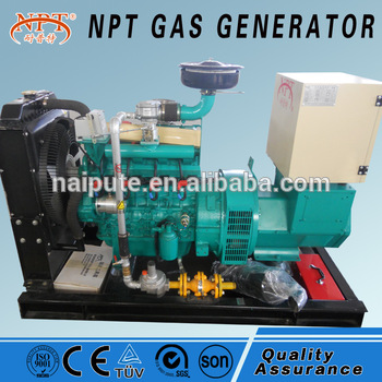 Standby cooking gas generator for home use