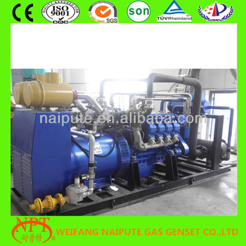 CE approved NG generator with ECU governor